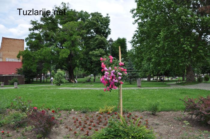 Tuzlarije