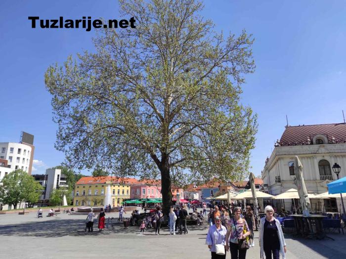 Tuzlarije