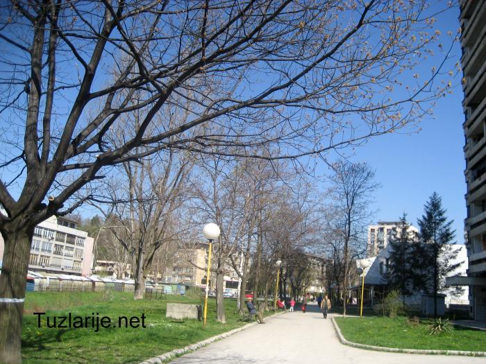 Tuzlarije