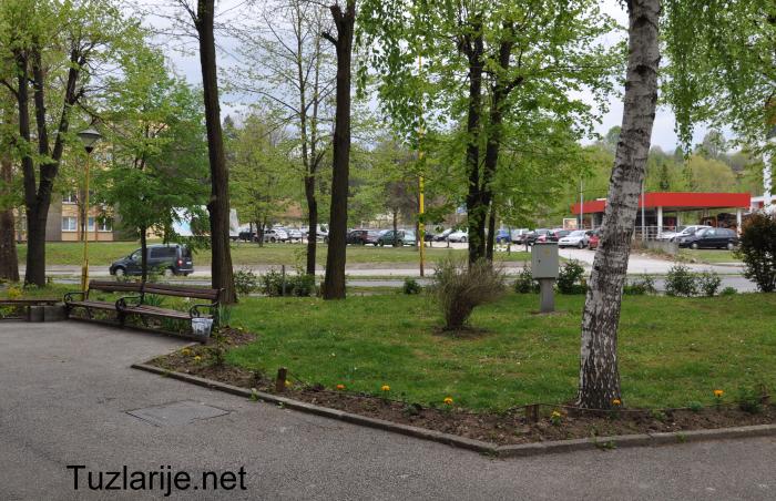 Tuzlarije
