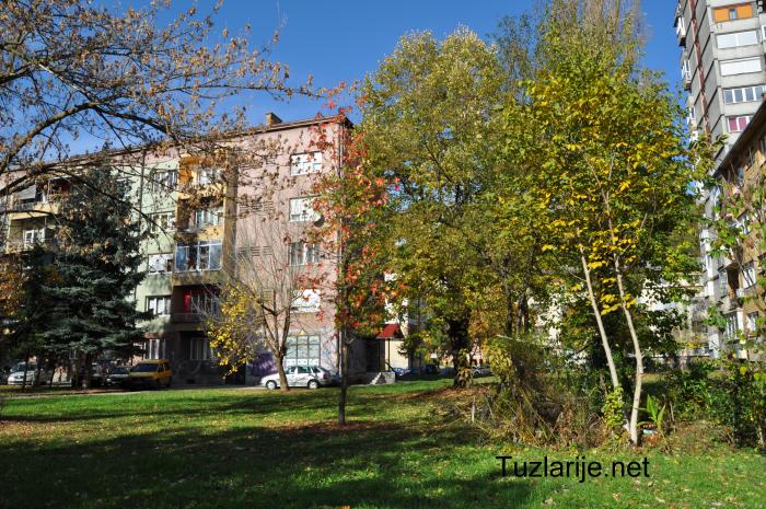 Tuzlarije