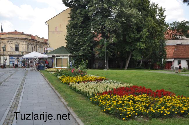 Tuzlarije