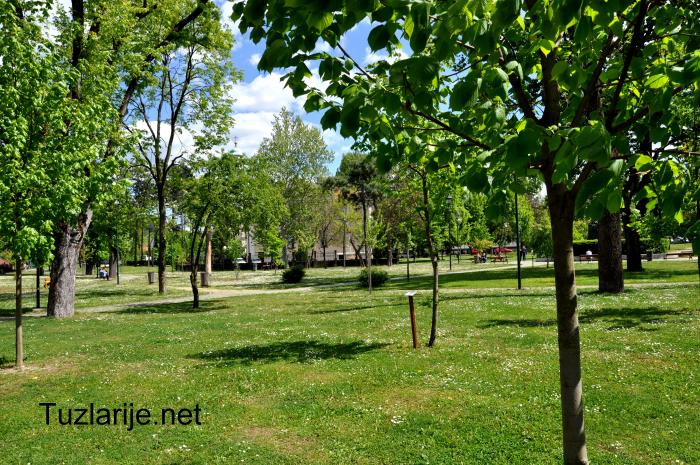 Tuzlarije