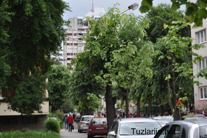 Tuzlarije
