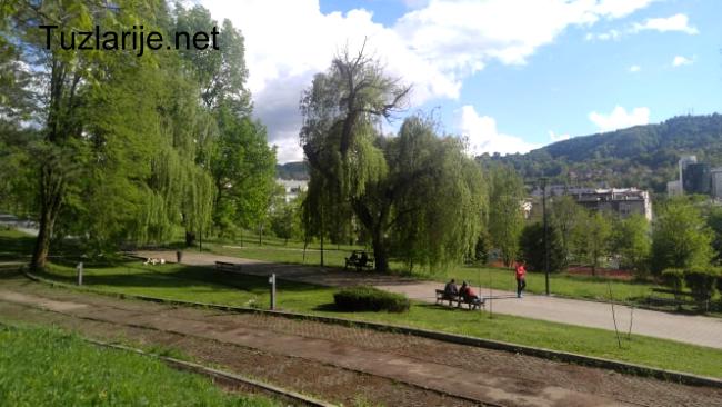 Tuzlarije