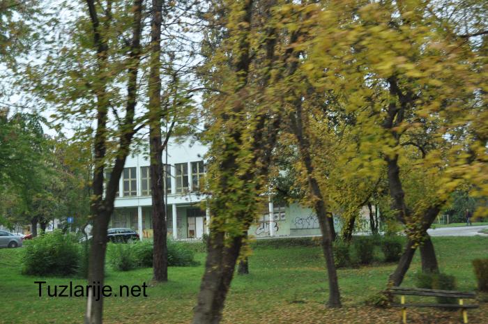 Tuzlarije