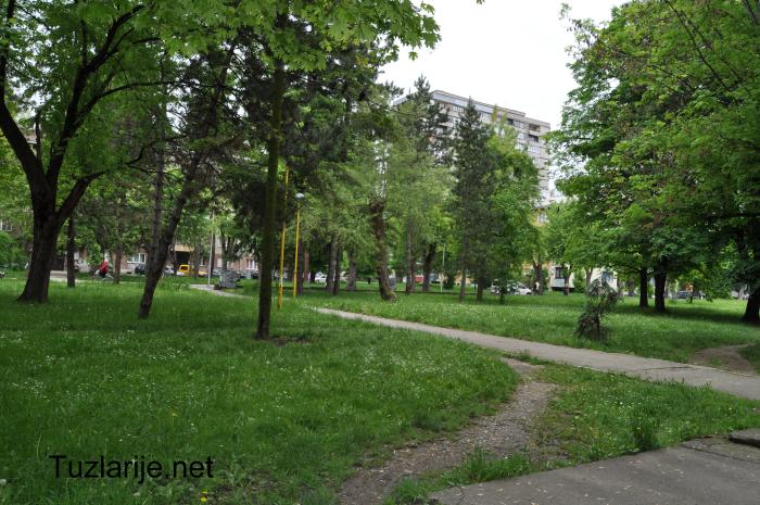 Tuzlarije