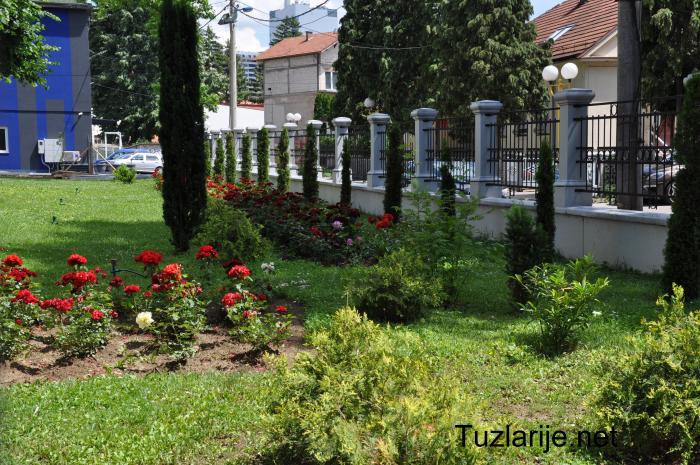 Tuzlarije