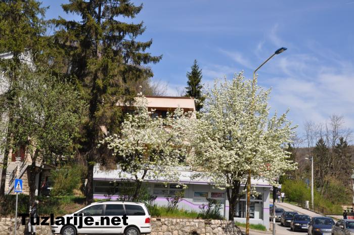 Tuzlarije