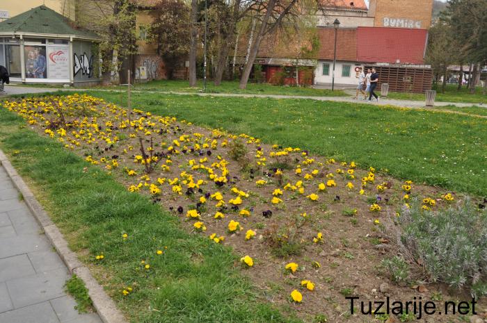 Tuzlarije