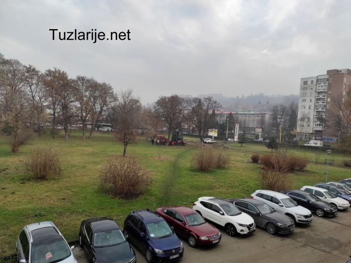 Tuzlarije