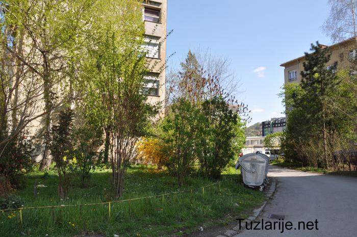 Tuzlarije