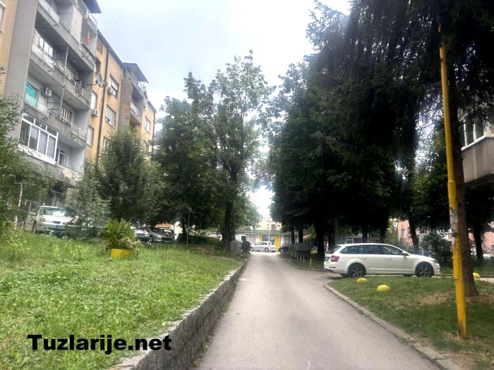 Tuzlarije