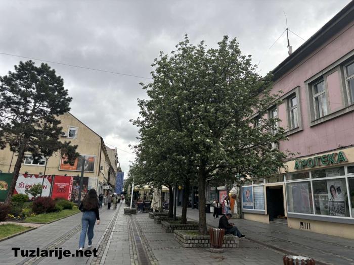 Tuzlarije