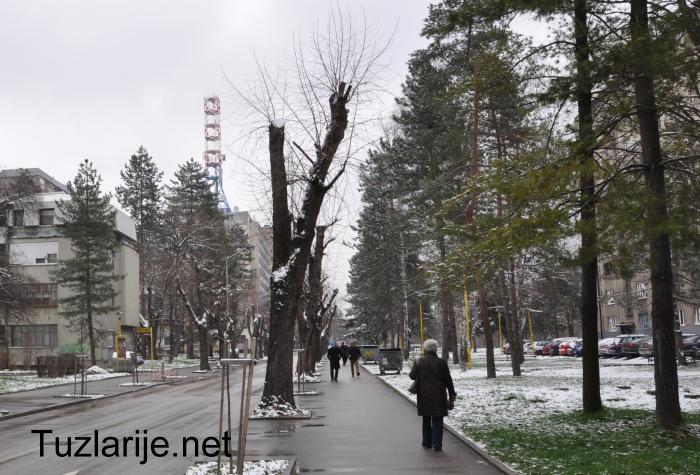 Tuzlarije
