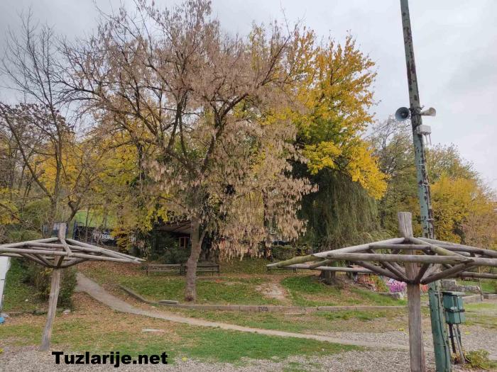 Tuzlarije