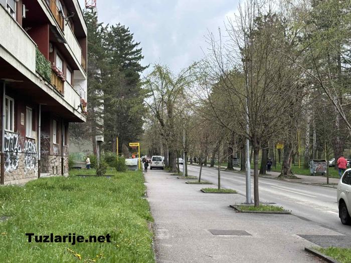 Tuzlarije