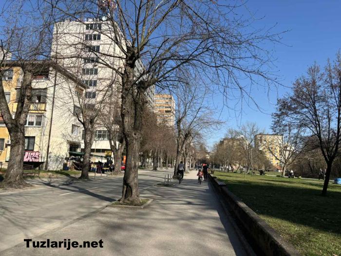 Tuzlarije