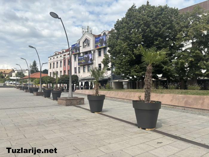 Tuzlarije