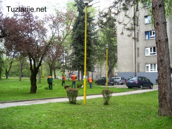Tuzlarije
