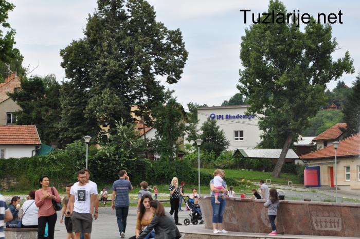 Tuzlarije