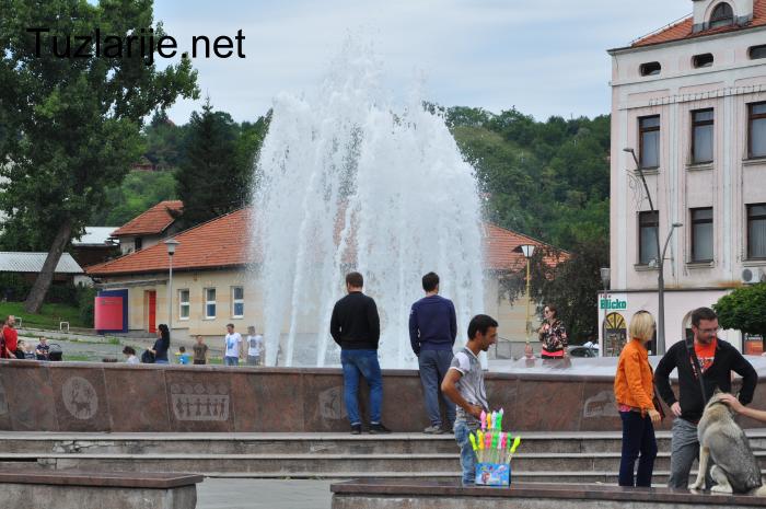 Tuzlarije
