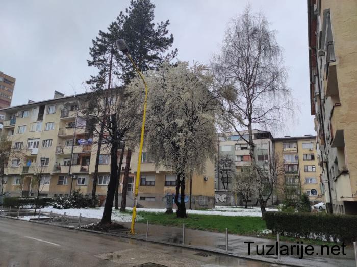 Tuzlarije