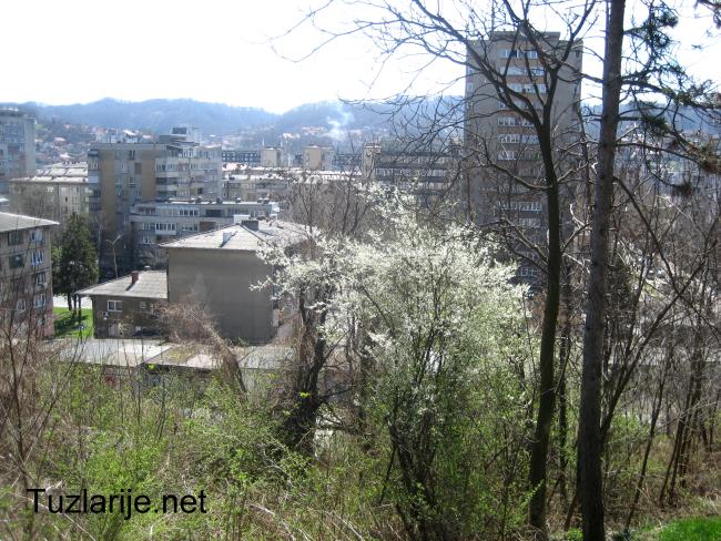 Tuzlarije