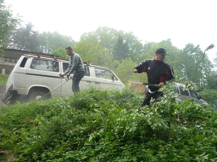 Tuzlarije