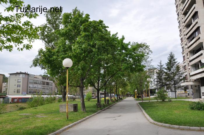 Tuzlarije