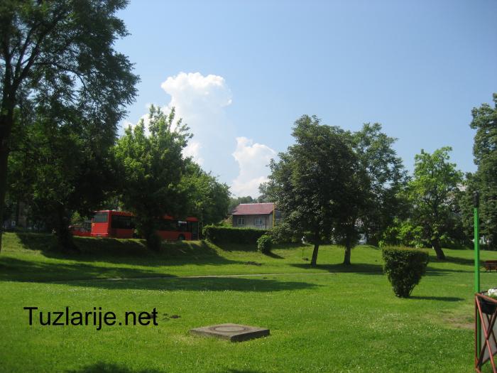 Tuzlarije