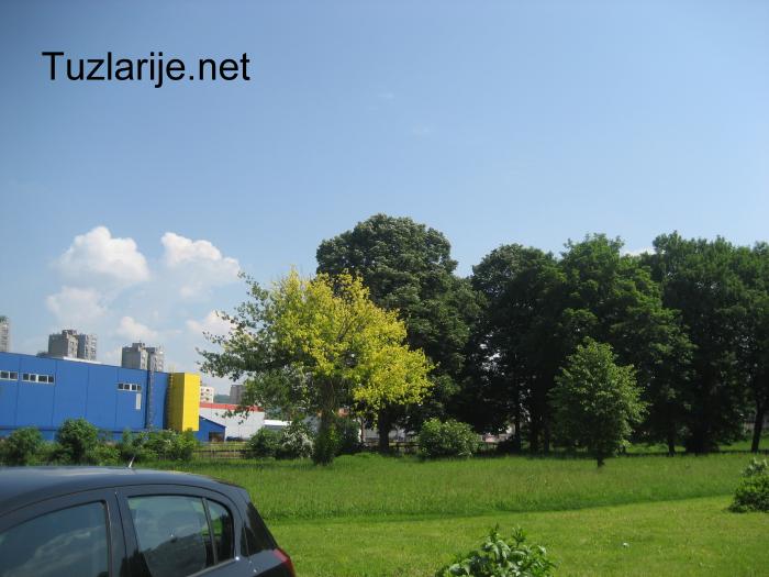 Tuzlarije