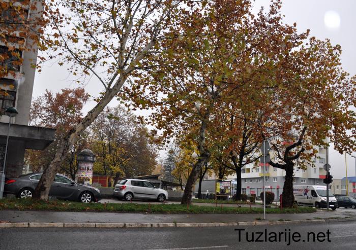 Tuzlarije