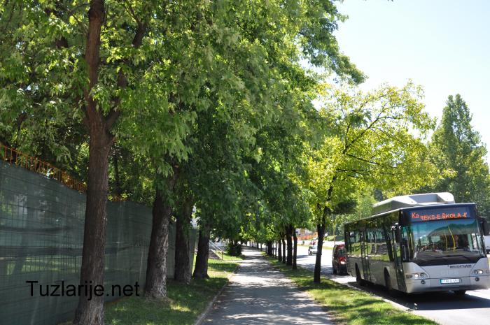 Tuzlarije