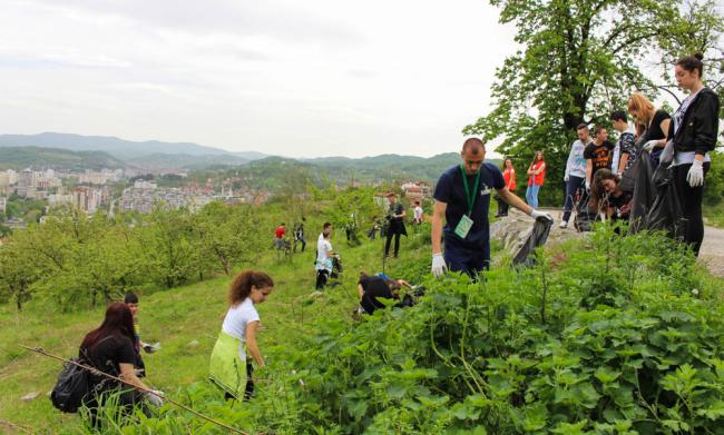 Tuzlarije