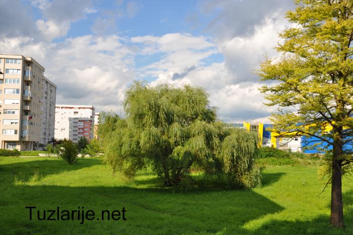 Tuzlarije