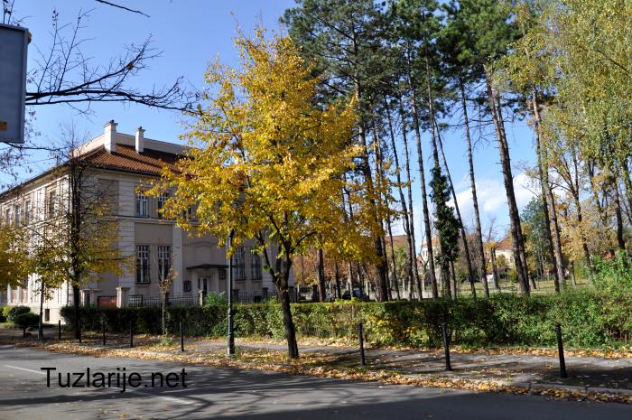 Tuzlarije