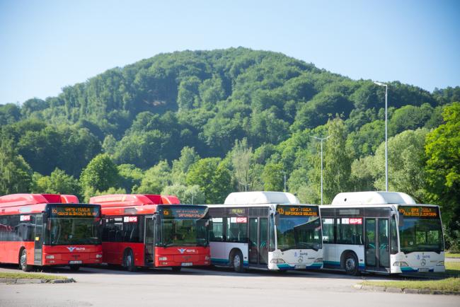 Tuzlarije