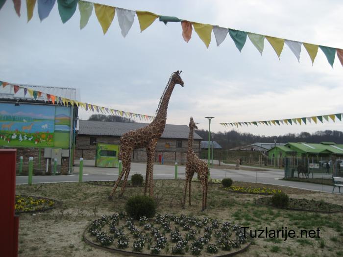 Tuzlarije