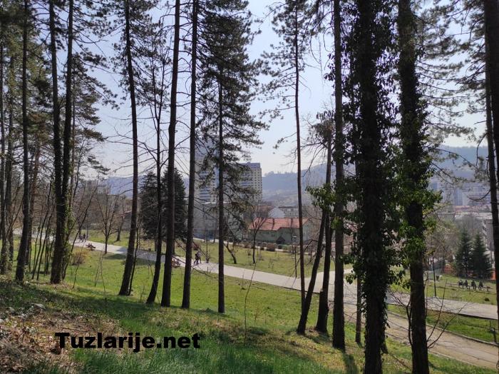 Tuzlarije