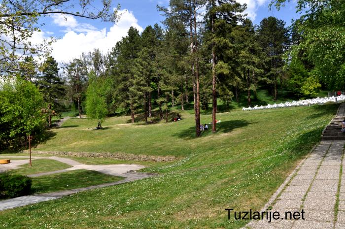 Tuzlarije