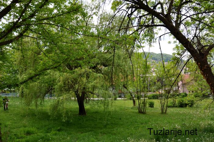 Tuzlarije