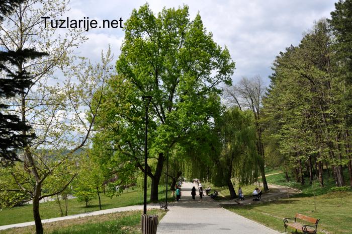 Tuzlarije