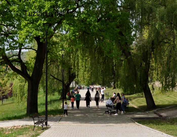Tuzlarije