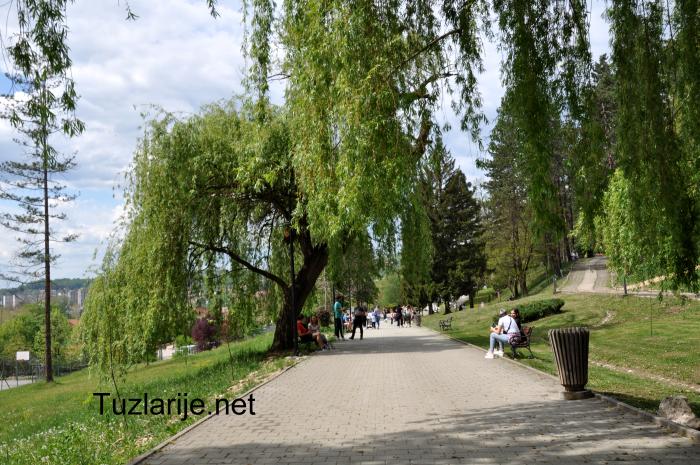 Tuzlarije