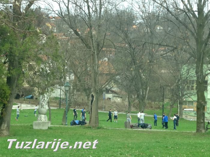 Tuzlarije