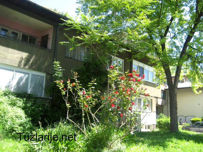 Tuzlarije
