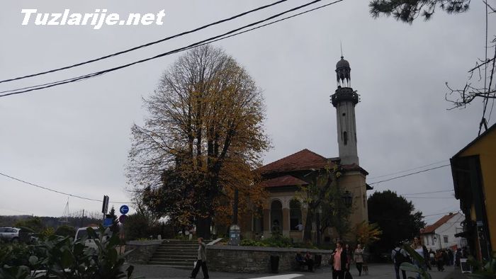 Tuzlarije