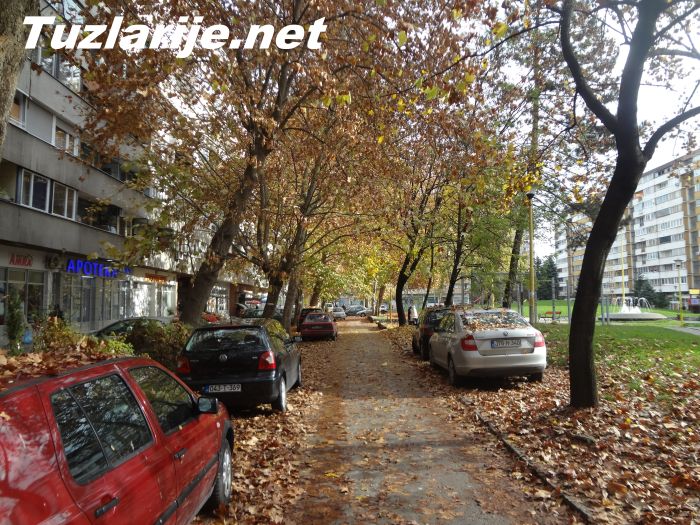 Tuzlarije