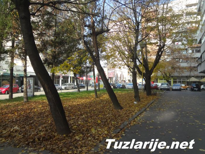 Tuzlarije